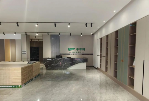 千年舟江西新余建材家居探店 赋予家的高品质生活